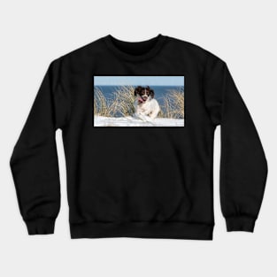 English Springer Spaniel Crewneck Sweatshirt